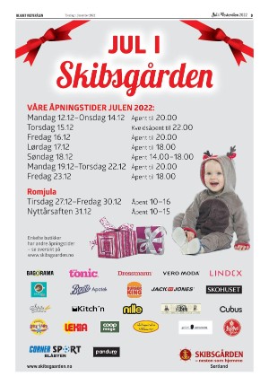 bladetvesteralen_bil-20221201_000_00_00_009.pdf