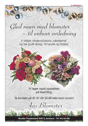 bladetvesteralen_bil-20241121_000_00_00_007.pdf