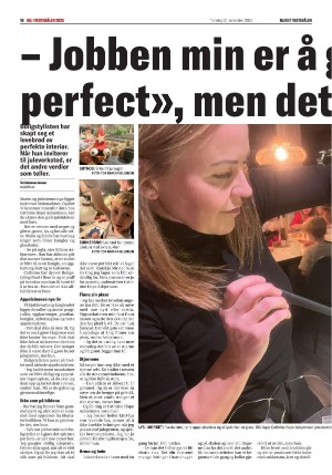 bladetvesteralen_bil-20251120_000_00_00_016.pdf