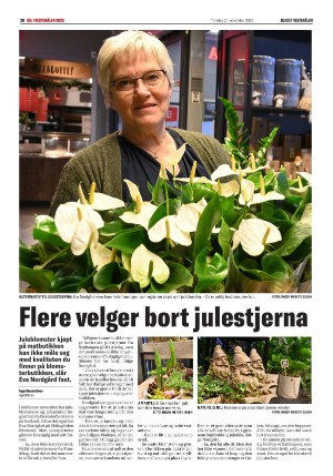 bladetvesteralen_bil-20251120_000_00_00_020.pdf