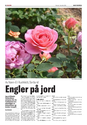 bladetvesteralen_bil-20251216_000_00_00_020.pdf