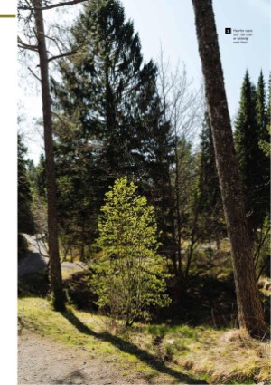 bobilcaravanmagasinet-20220915_004_00_00_104.pdf