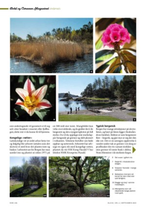 bobilcaravanmagasinet-20220915_004_00_00_106.pdf