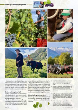 bobilcaravanmagasinet-20250616_003_00_00_022.pdf