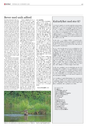 boblad-20201126_000_00_00_063.pdf