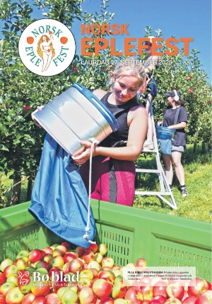 boblad_bilag1-20250917_000_00_00.pdf