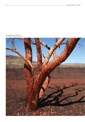 bokvennen-20241015_010_00_00_012.pdf
