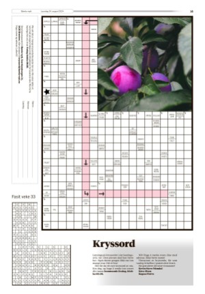 bomlonytt-20240824_000_00_00_015.pdf