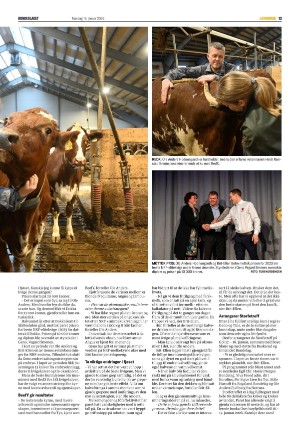 bondebladet-20250116_000_00_00_013.pdf