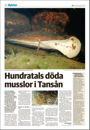 borlangetidning-20180815_000_00_00_024.pdf