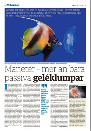 borlangetidning-20181021_000_00_00_006.pdf
