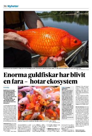 borlangetidning-20231230_000_00_00_036.pdf