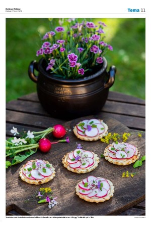 borlangetidning-20250627_000_00_00_011.pdf