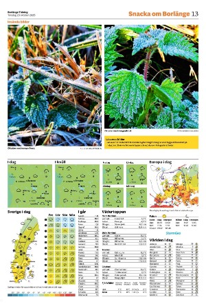 borlangetidning-20251023_000_00_00_013.pdf