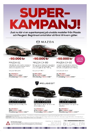 borlangetidning-20260108_000_00_00_009.pdf