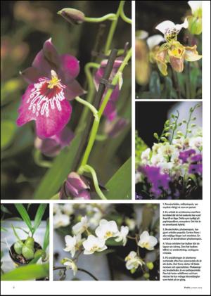 borlangetidning_bilag-20120303_000_00_00_006.pdf