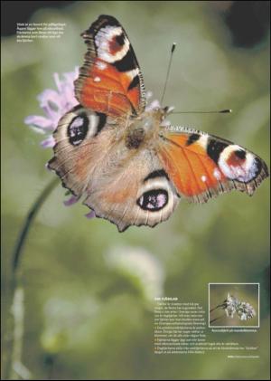 borlangetidning_bilag-20120519_000_00_00_016.pdf