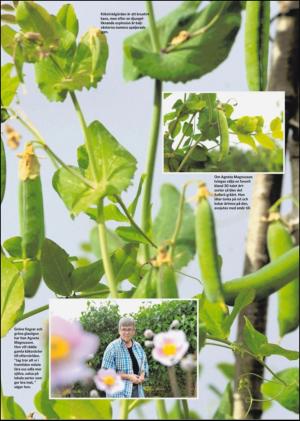 borlangetidning_bilag-20120825_000_00_00_009.pdf