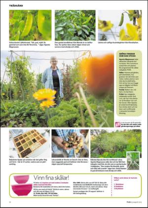 borlangetidning_bilag-20120825_000_00_00_010.pdf