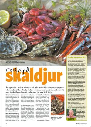 borlangetidning_bilag-20120922_000_00_00_022.pdf
