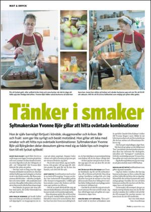 borlangetidning_bilag-20120929_000_00_00_020.pdf
