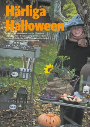 borlangetidning_bilag-20121027_000_00_00_004.pdf