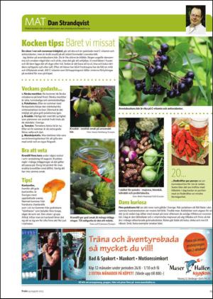 borlangetidning_bilag-20130824_000_00_00_025.pdf