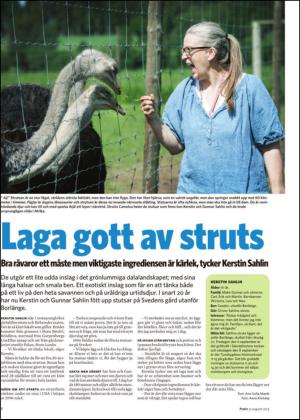 borlangetidning_bilag-20130831_000_00_00_008.pdf