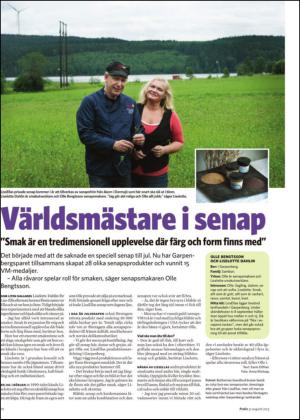 borlangetidning_bilag-20130831_000_00_00_010.pdf
