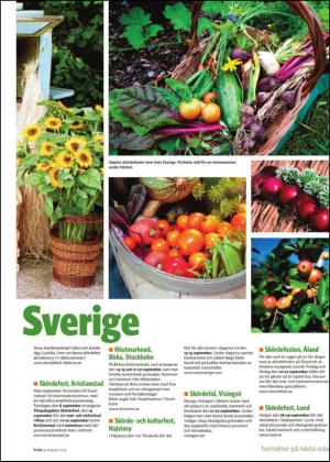 borlangetidning_bilag-20130831_000_00_00_013.pdf