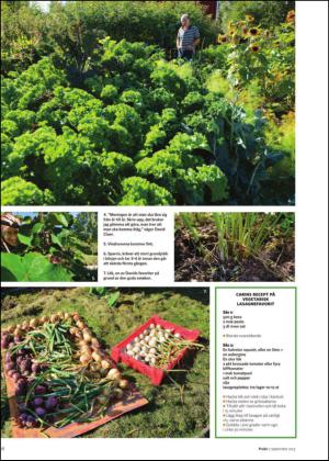 borlangetidning_bilag-20130907_000_00_00_018.pdf