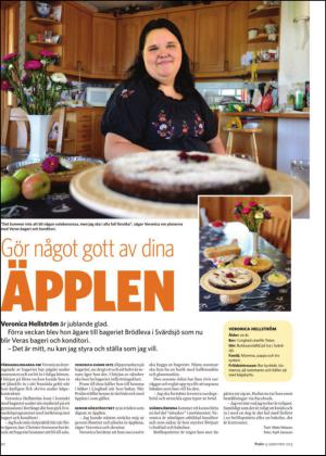 borlangetidning_bilag-20130914_000_00_00_020.pdf