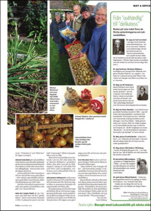 borlangetidning_bilag-20131109_000_00_00_027.pdf