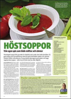 borlangetidning_bilag-20131116_000_00_00_022.pdf