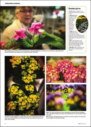 borlangetidning_bilag-20140419_000_00_00_012.pdf