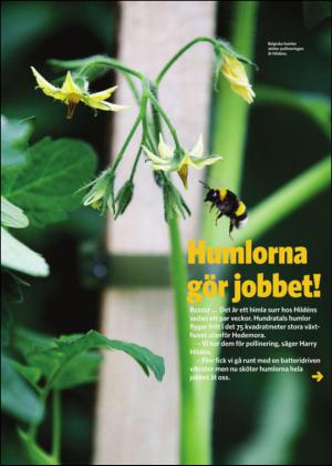 borlangetidning_bilag-20140419_000_00_00_013.pdf