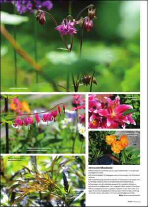 borlangetidning_bilag-20140531_000_00_00_008.pdf