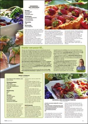borlangetidning_bilag-20140614_000_00_00_019.pdf