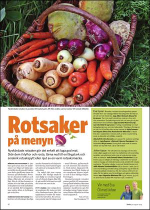 borlangetidning_bilag-20140830_000_00_00_018.pdf