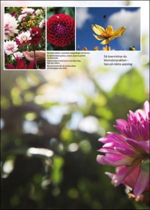 borlangetidning_bilag-20140906_000_00_00_008.pdf