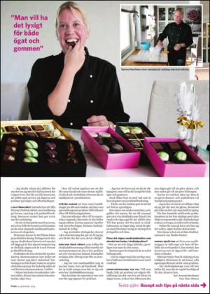 borlangetidning_bilag-20140913_000_00_00_019.pdf