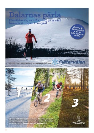 borlangetidning_bilag-20210217_000_00_00_032.pdf