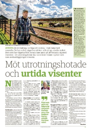 borlangetidning_bilag-20210614_000_00_00_015.pdf