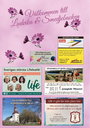 borlangetidning_bilag-20210614_000_00_00_038.pdf