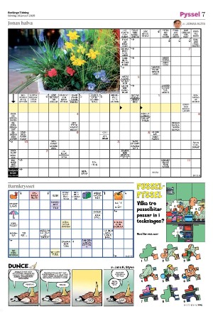 borlangetidning_bilag-20250119_000_00_00_007.pdf