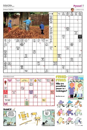 borlangetidning_bilag-20250209_000_00_00_007.pdf