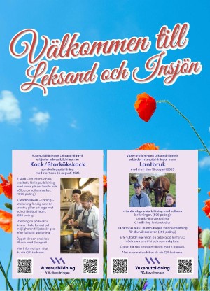 borlangetidning_bilag-20250610_000_00_00_022.pdf
