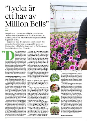 borlangetidning_bilag-20250610_000_00_00_064.pdf