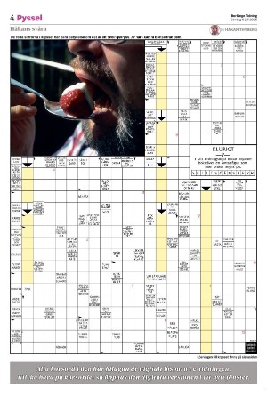 borlangetidning_bilag-20250706_000_00_00_004.pdf