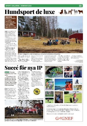 borlangetidning_kt-20240523_000_00_00_033.pdf